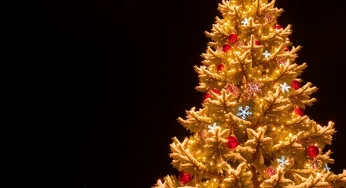 South Lyon Welcomes the Holiday Spirit with Annual Tree Lighting Event