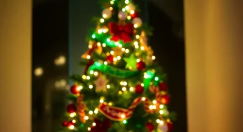 Festive December Kicks Off in Troy with Tree Lighting and Holiday Events
