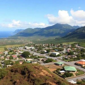 Overview of recovery efforts in Hawaii after wildfires