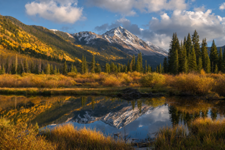 Colorado's 87-to-1 shot: 66,000 hunters chased 761 moose tags