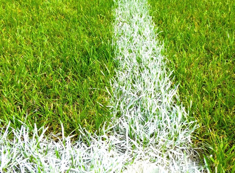 Big 12 Fines UCF $100,000 Over Fan Chants Aimed at BYU